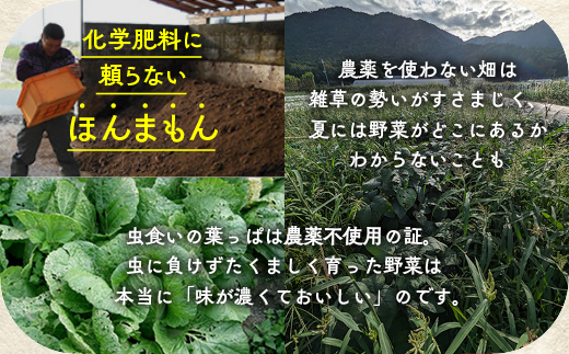 【12回定期便】＜アスカ有機農園＞旬の京野菜セットL（平飼い卵付）＊毎月お届け全12回《野菜定期便 野菜詰め合わせ 野菜セット 京野菜 旬の野菜 新鮮野菜 有機野菜 無農薬野菜 卵》