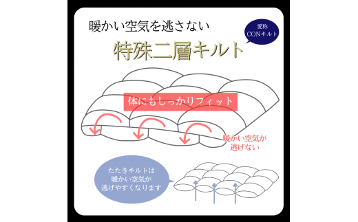 ＜京都金桝＞羽毛布団 シングル 特殊2層キルト(ポーランド産マザーホワイトグースダウン95％ ホワイトコウダ・たっぷり1.2kgふっくら仕上げ) ロジック≪羽毛ふとん 掛け布団 国内再洗浄 DP450 新生活≫