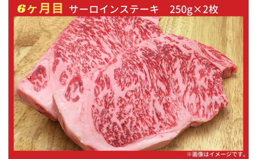 【6回定期便】亀岡牛 6ヶ月 お楽しみセット【計2.8kg】＜亀岡牛専門 木曽精肉店＞≪コロナ支援 和牛 牛肉≫ ☆祝！亀岡牛 2021年最優秀賞（農林水産大臣賞）受賞 ※冷凍（冷蔵も指定可）