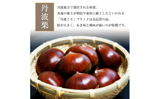 ＜洋菓子館 ベルジェノア＞丹波銘菓物語　栗ろまん《栗 洋菓子 セット》