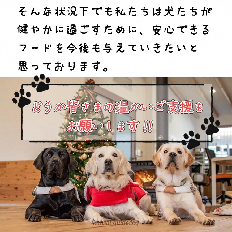 【返礼品相当額で盲導犬の育成を支援】支援額6,000円(記念品あり)エコバッグなど盲導犬協会オリジナルグッズ進呈[行きたい場所に安心していける社会に…]
