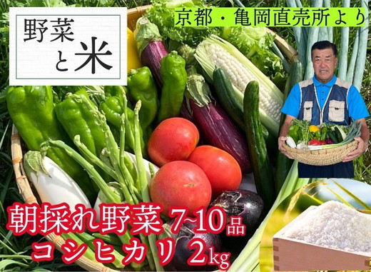 予約 野菜と米 京都 佐伯の里 新鮮 旬の野菜セット 7～10品 コシヒカリ2kg 新米 京都丹波・亀岡産 季節の野菜 詰め合わせ 訳あり 生活応援 ※北海道・沖縄・離島への配送不可 ※2025年9月下旬頃より順次発送