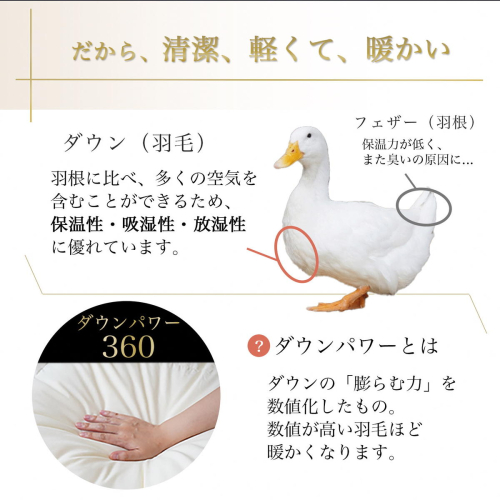 軽くて暖か 京都金桝 羽毛布団 本掛け シングル ハンガリーホワイトダウン90％ DP360 日本製 京都亀岡産 ｜ 冬用 掛け布団 掛布団 ｜ アクア