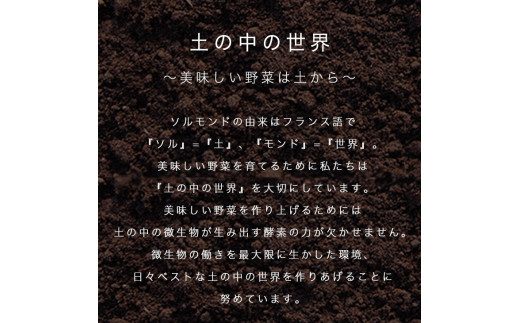 ソルモンドの 冬野菜セット！3〜5品 14袋◇ ＜野菜 野菜セット 野菜詰め合わせ 旬野菜 国産 京都 減農薬 ふるさと納税野菜＞ ※北海道・沖縄・離島への配送不可