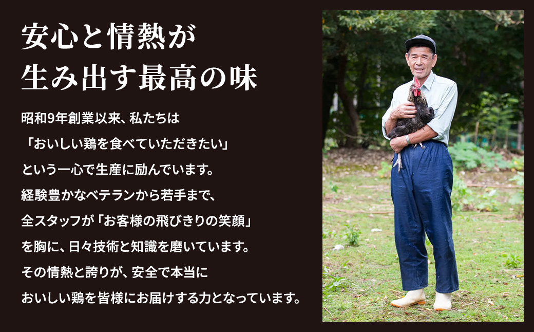 ã人æ°ã®å 埩å»!!ã䞹波赀ã©ã ããã³ã«ã 40æïŒäº¬éœäºå²¡äž¹æ³¢å±±æ¬ïŒæ¥åçš é¶ã«ãããµãããšçŽçš é¶è ãšãè ãã ãµã¯ãµã¯ æåãã«ãã æããã ã çæŽ»å¿æŽ ç¹å¥è¿ç€Œå ãæè»œ ç°¡å å°éæ²¹ ã·ã³ãã« ã¢ã¬ã³ãž æããæ¯ããã èš³ããã