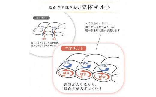 【訳あり】＜京都金桝＞色柄お任せ 羽毛布団 掛け布団 ホワイトダウン85％『合掛け シングル』 DP350 京都亀岡産 日本製 ｜ 国産 寝具 布団 新生活 夏 夏用 洗える ダウンケット 冬 冬用 秋冬用 ふるさと納税訳あり