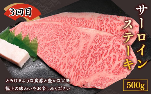 ãå
š6åå®æäŸ¿ãäºå²¡ç å®æäŸ¿ äºå²¡çå°éåºãå³éž ãæ¥œãã¿ é£ã¹æ¯ã¹ ã»ãã âªå·å çŒè ããçŒã ãµãŒãã€ã³ ã¹ããŒã ããŒã¹ãããŒã 赀身 ãã è çè åœç£ç 黿¯åç èå®æäŸ¿ äº¬éœ äž¹æ³¢ BBQ äººæ° ããããâ« â»é¢å³¶ãžã®é
éäžå¯