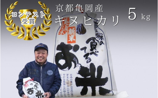 令和7年産 キヌヒカリ 5kg 【京都丹波米おいしいお米コンテスト】入賞（最優秀賞） ｜ 米 コメ 白米 京都 丹波 きぬひかり 数量限定