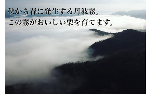 京都亀岡産 丹波くり M〜Lサイズ 1.2kg【期間限定 数量限定】《栗 くり 丹波栗 小粒 お菓子用》 ※北海道・沖縄・離島への配送不可 ※2024年9月中旬～10月中旬ごろに順次発送予定