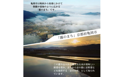 ＜京漬物 音峰漬物本舗＞京都丹波 漬物 厳選 やみつき8種セット《贈り物 贈答 ギフト 誕生日 お中元 お歳暮》