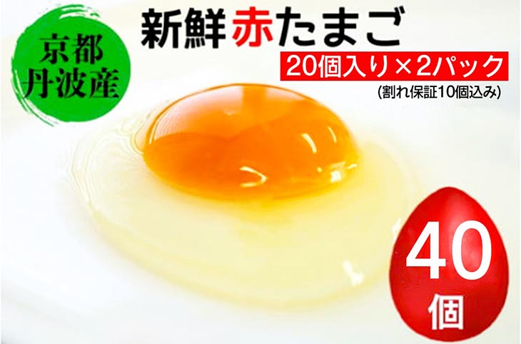 新鮮 卵 京都・丹波の赤たまご 計40個 割れ保証あり｜ 生卵 たまご 鶏卵 小分け 贈答 ギフト ※北海道・沖縄・離島への配送不可