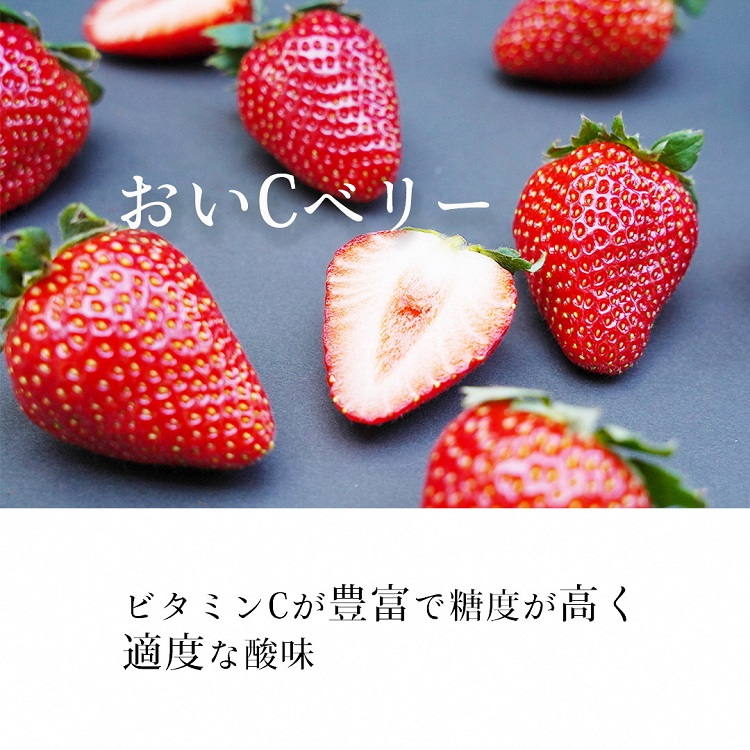 高級 京いちご 完熟 朝採れ 1箱 約450g 小島農園 紅ほっぺ おいCベリー スターナイトから厳選してお届け≪期間限定 苺 イチゴ 旬≫※離島への配送不可 ※2026年1月中旬～5月上旬頃に順次発送予定