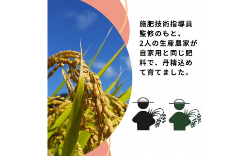 米 2品種 コシヒカリ・キヌヒカリ 食べ比べ 5kg × 2袋 10kg 施肥技術指導員監修《米 令和5年産》SDGs未来都市亀岡※着日指定不可