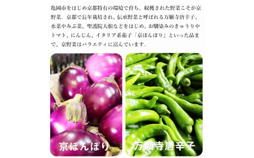 【6回定期便】旬の京野菜　毎月お届けスペシャルコース（全6回）＆『葉酸たまご』10個入り×1パック×3回分付き《野菜定期便 野菜詰め合わせ 野菜セット 京野菜 旬の野菜 新鮮野菜 有機野菜 減農薬 卵》※沖縄・離島・諸島へのお届け不可