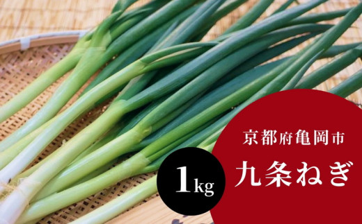 九条ねぎ 1kg《ネギ ねぎ 葱 長ネギ 長ねぎ 青ネギ 青ねぎ 根きり 京都 伝統野菜 京野菜》 