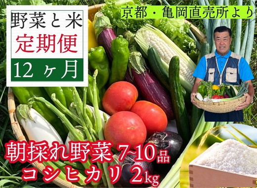 予約 野菜と米 12回 定期便 京都 佐伯の里 新鮮 旬の野菜セット 7～10品 コシヒカリ2kg 新米 定期便 12ヶ月 京都丹波・亀岡産 季節の野菜 詰め合わせ 訳あり 生活応援 ※北海道・沖縄・離島への配送不可 ※2025年9月下旬頃より順次発送