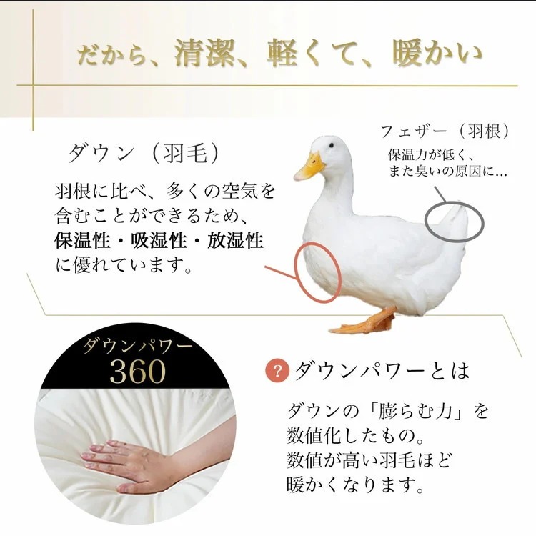 【アンバーホワイト（無地）】京都金桝 冬用羽毛布団 セミダブルサイズ×1枚 無地 シンプル 【ふとん 布団 寝具 国産 日本製 羽毛布団 羽毛ふとん 羽毛ぶとん うもうぶとん うもうふとん 本掛け 羽毛布団セミダブル 掛け布団 掛布団】アクア