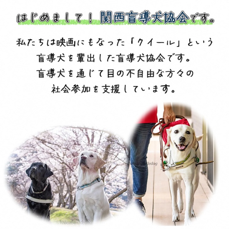 【返礼品相当額で盲導犬の育成を支援】支援額6,000円(記念品あり)エコバッグなど盲導犬協会オリジナルグッズ進呈[行きたい場所に安心していける社会に…]