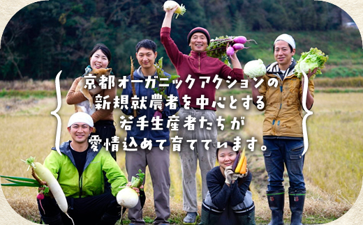 【12回定期便】＜アスカ有機農園＞旬の京野菜セットL（平飼い卵付）＊毎月お届け全12回《野菜定期便 野菜詰め合わせ 野菜セット 京野菜 旬の野菜 新鮮野菜 有機野菜 無農薬野菜 卵》