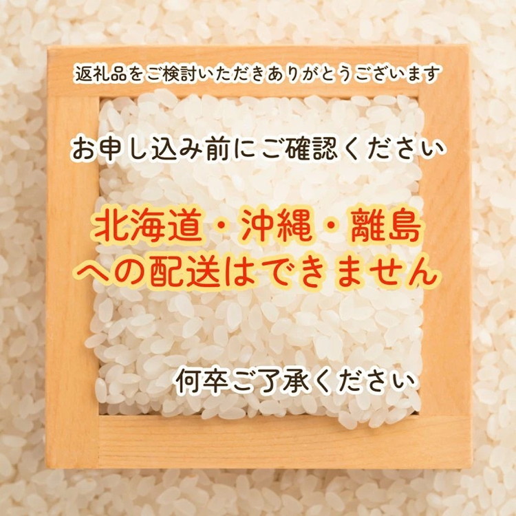 京都・亀岡産きぬひかり「宮川神社米」3kg(1kg×3袋) 米 令和7年産 ※北海道・沖縄・離島への配送不可