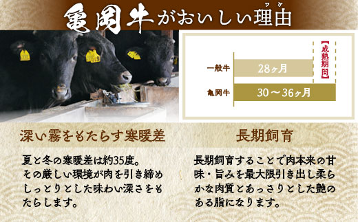 ã京éœãã¥ã€å±å³éžãäºå²¡çã¹ããŒãé£ã¹æ¯ã¹ãã©ã³ãã¹ããŒã120gãã€ããã¹ããŒã120gãããŒã¹ã¹ããŒã120gãèš360gãâªèš³ãã åç çè å·å ã¹ããŒãâ«