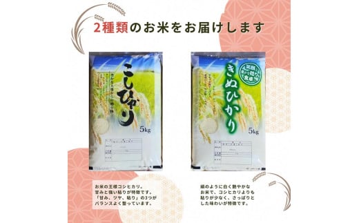 米 2品種 コシヒカリ・キヌヒカリ 食べ比べ 5kg × 2袋 10kg 施肥技術指導員監修《米 令和5年産》SDGs未来都市亀岡※着日指定不可