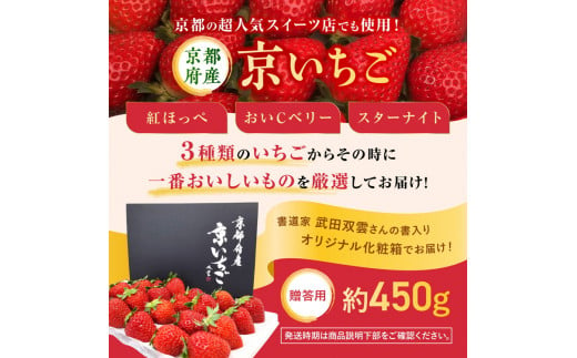 【数量限定】高級 完熟 京いちご 1箱 希少 お楽しみ【紅ほっぺ おいCベリー スターナイト から厳選してお届け】人気 小島農園 減農薬 果実 新鮮 フルーツ 旬 いちご 苺 有名 スイーツ店 御用達 ※2025年1月中旬～5月下旬頃に順次発送予定