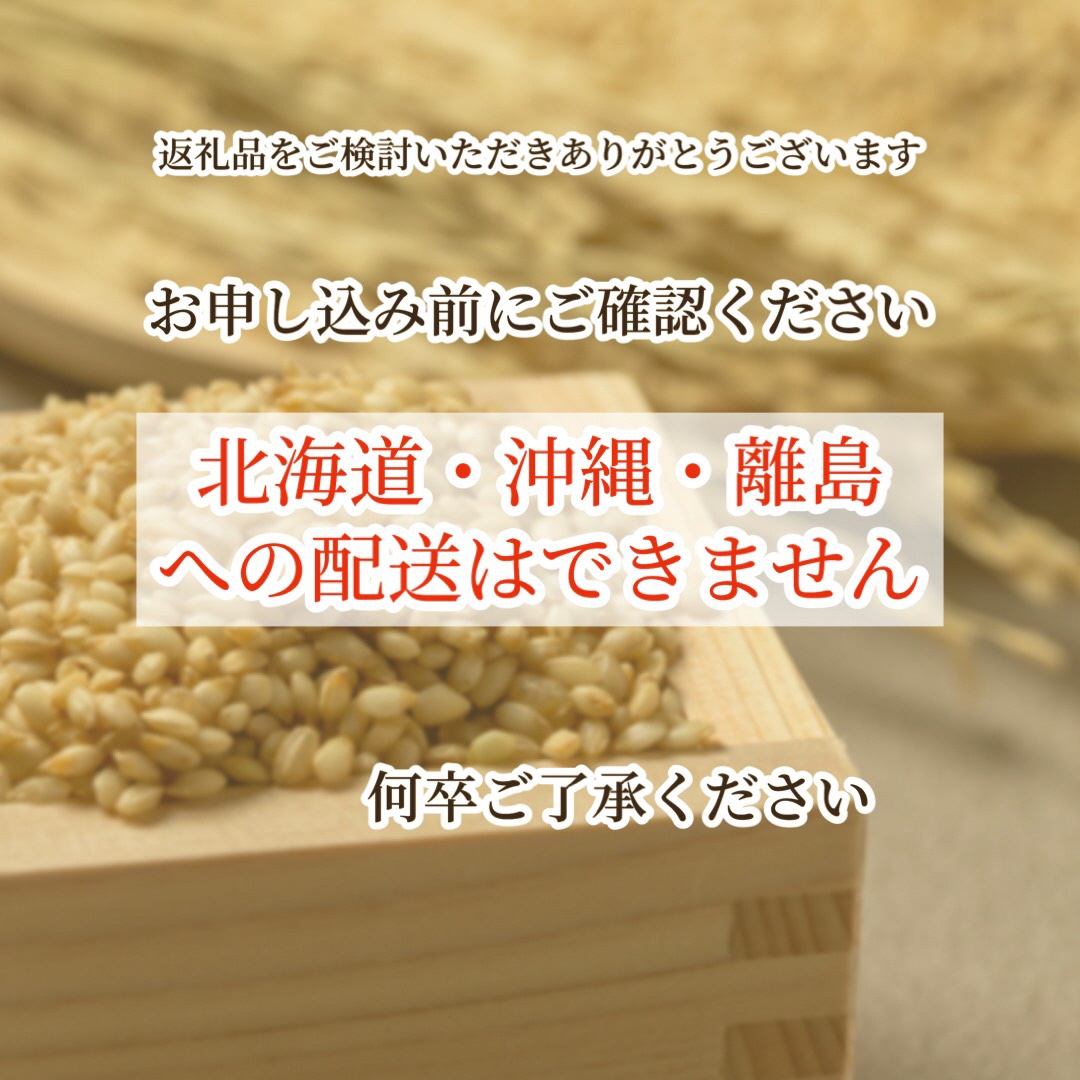 【令和6年産先行予約】米 コシヒカリ 玄米 10kg〈アグリにのうみ〉京都・亀岡産《令和6年産》 京都丹波産◇※北海道・沖縄・離島への配送不可※2024年10月中旬～11月中旬頃に順次発送予定