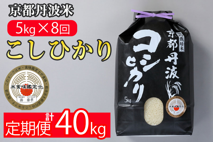 【9月より新米】【定期便】米 京都丹波米こしひかり5kg×8回 計40kg◇◆◇ 定期便 8回定期便 米 白米 5kg 8ヶ月 ※精米したてをお届け ｜ 米・食味鑑定士厳選 コシヒカリ 京都丹波産
