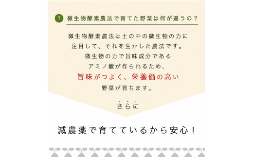 ソルモンドの 冬野菜セット！3〜5品 14袋◇ ＜野菜 野菜セット 野菜詰め合わせ 旬野菜 国産 京都 減農薬 ふるさと納税野菜＞ ※北海道・沖縄・離島への配送不可