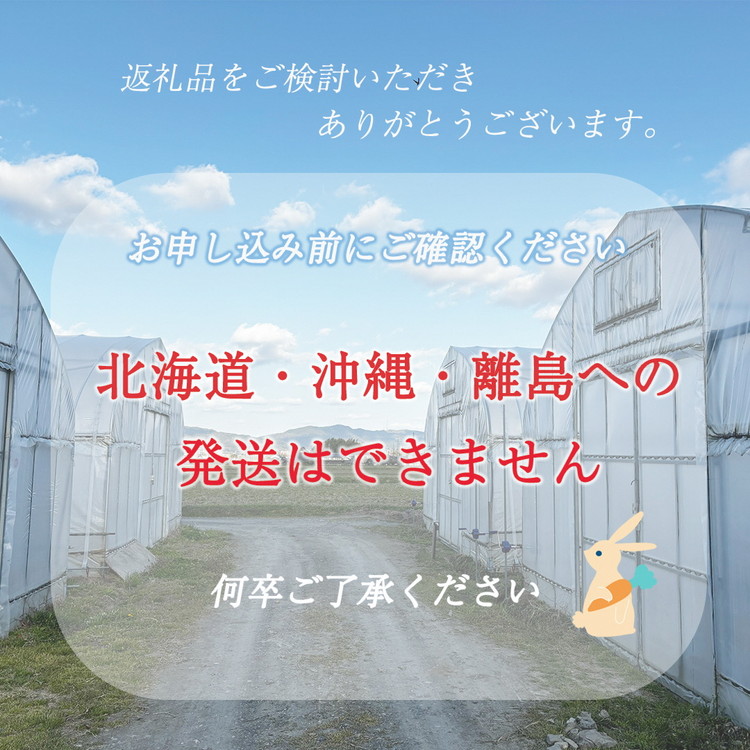 京都産 コシヒカリ2kg ＋ 旬の野菜セット 京都 佐伯の里 新鮮 野菜 7～10品 コシヒカリ2kg 米 京都丹波・亀岡産 季節の野菜 詰め合わせ 訳あり 生活応援 ※北海道・沖縄・離島への配送不可 ※2025年9月下旬頃より順次発送