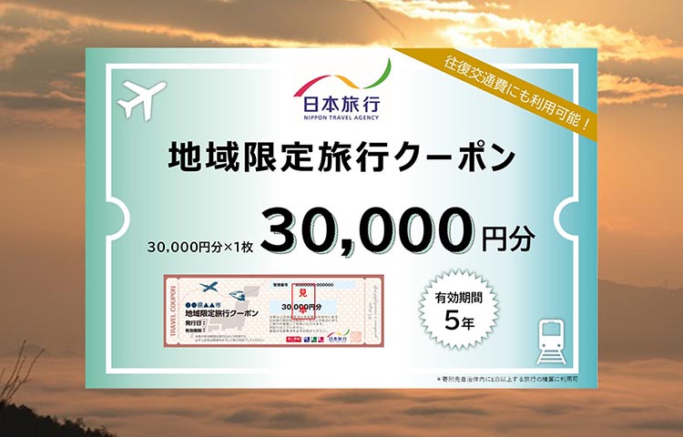 【有効期限は発行日から5年間】京都府亀岡市 日本旅行 地域限定旅行クーポン30,000円分 交通費利用可 旅行 トラベル 旅行券 宿泊券 予約 チケット ホテル 観光 おすすめ