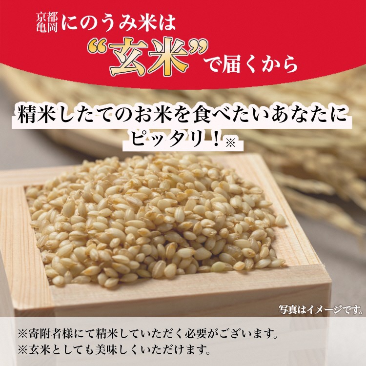 【令和6年産先行予約】米 コシヒカリ 玄米 10kg〈アグリにのうみ〉京都・亀岡産《令和6年産》 京都丹波産◇※北海道・沖縄・離島への配送不可※2024年10月中旬～11月中旬頃に順次発送予定