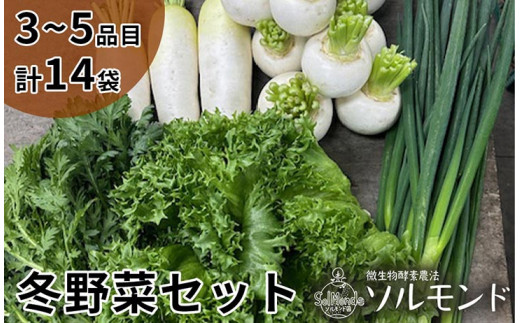 ソルモンドの 冬野菜セット！3〜5品 14袋◇ ＜野菜 野菜セット 野菜詰め合わせ 旬野菜 国産 京都 減農薬 ふるさと納税野菜＞ ※北海道・沖縄・離島への配送不可