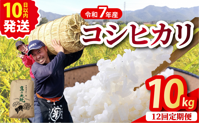 【定期12回】令和7年産 コシヒカリ 10kg×12回 京都丹波産 農家直送 産地直送 スピード配送【～3月31日まで】※北海道･沖縄･離島への配送不可