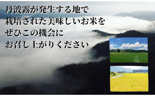 【7日以内発送】京都丹波産 米 食べ比べセット◇【京都丹波産 こしひかり きぬひかり 各5kg 計10kg】※米食味鑑定士厳選 ※精米したてをお届け【京都伏見のお米問屋が精米】食べくらべ ※沖縄本島・離島への配送不可