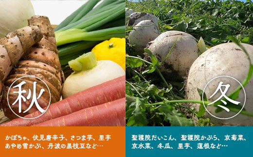 【12回定期便】旬の京野菜 毎月お届けスペシャルコース（全12回）＆『葉酸たまご』10個入り×1パック×3回分付き《野菜定期便 野菜詰め合わせ 野菜セット 京野菜 旬の野菜 新鮮野菜 卵》