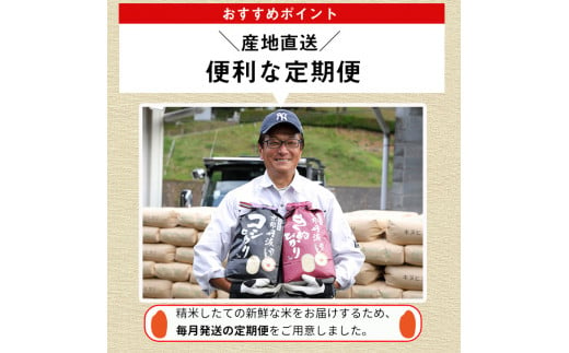 【定期便】令和6年産 新米 訳あり 京都丹波米 きぬひかり5kg×4回 計20kg◆4回定期便 米 白米 5kg 4ヶ月※精米したてをお届け 米・食味鑑定士厳選 キヌヒカリ 京都丹波産 ※北海道・沖縄・離島への配送不可 ※2024年10月上旬以降順次発送予定