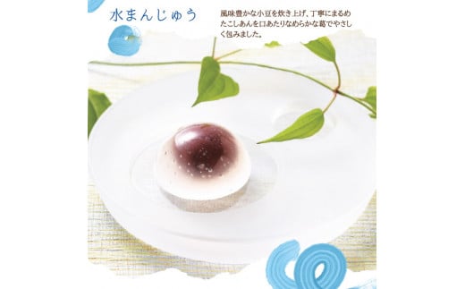 ＜京都栗菓匠 若菜屋＞期間限定 涼菓詰合せ（大）【国産菓ぜりー 水まんじゅう 栗水ようかん 栗阿彌】《夏 贈答 甘夏 さくらんぼ ピオーネ 紀州梅 ようかん 渋皮栗 栗納豆》◇