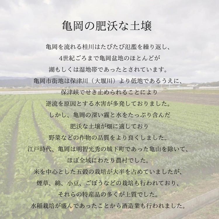 《京つけもの もり》京都おりーぶ・京ぴくるす瓶詰6種 セット 詰め合わせ ギフト 贈り物 プレゼント オリーブ ピクルス 酢漬 京都 常温 漬物 贈り物