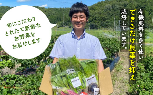 【3回定期便】旬の京野菜　毎月お届けレギュラーコース（全3回）《野菜定期便 野菜詰め合わせ 野菜セット 京野菜 旬の野菜 新鮮野菜 有機野菜 減農薬》