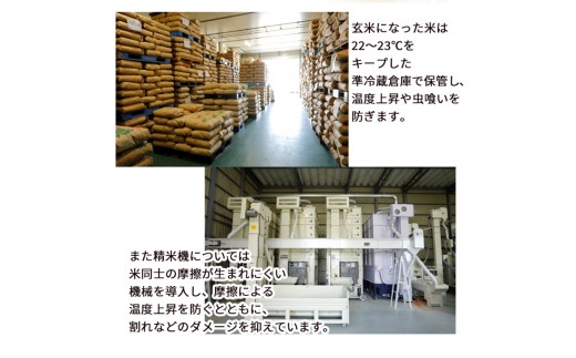 定期便 無洗米 5kg 6ヶ月 京都丹波産 キヌヒカリ 6回定期便 5kg ×6回 計30kg ※受注精米《米 白米 きぬひかり 5kg 6回 計30キロ ふるさと納税 無洗米 大嘗祭供納品種》 ※北海道・沖縄・その他離島への配送不可