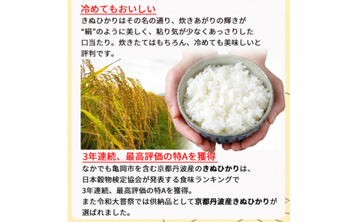 定期便 無洗米 5kg 6ヶ月 京都丹波産 キヌヒカリ 6回定期便 5kg ×6回 計30kg ※受注精米《米 白米 きぬひかり 5kg 6回 計30キロ ふるさと納税 無洗米 大嘗祭供納品種》 ※北海道・沖縄・その他離島への配送不可