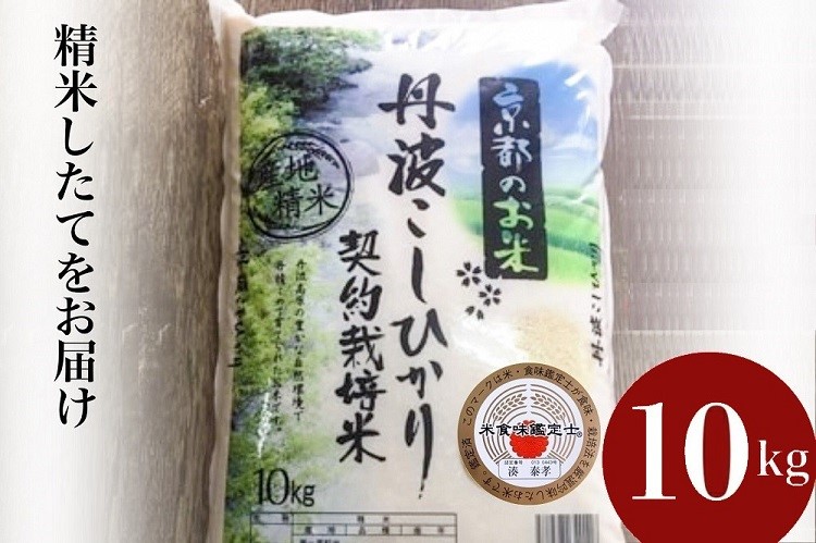 【9月より新米】米 京都丹波米 こしひかり10kg◇◆◇ 米 白米 ※精米したてをお届け コシヒカリ ※北海道・沖縄・離島への配送不可