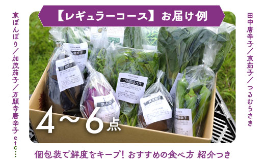 【6回定期便】旬の京野菜　毎月お届けレギュラーコース（全6回）＆『葉酸たまご』6個入り×1パック×3回分付《野菜定期便 野菜詰め合わせ 野菜セット 京野菜 旬の野菜 新鮮野菜 卵》