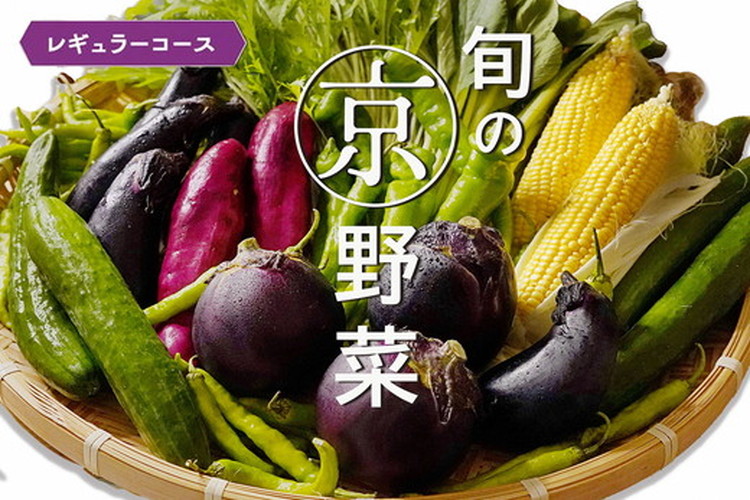 旬の京野菜　レギュラーコース《野菜詰め合わせ 野菜セット 京野菜 旬の野菜 新鮮野菜》