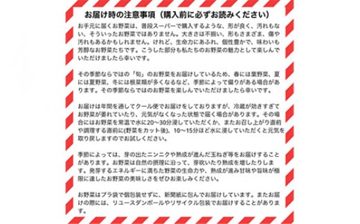 【6回定期便】京都府・亀岡産 自然農法＆農薬を使わずに育てた体も心も喜ぶ、かたもとオーガニックファームの季節のお野菜セット 毎回10〜20品目　※離島への発送不可