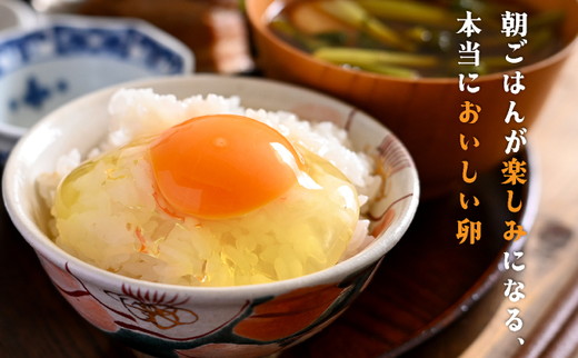 新鮮 卵 京都・丹波 霧の卵 30個（25個+卵割れ保証5個）生卵 たまご 鶏卵 小分け 贈答 ギフト◇ ※北海道・沖縄・離島への配送不可