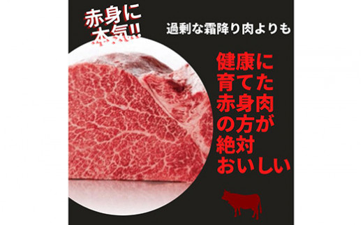 京都いづつ屋 厳選 亀岡牛 赤身 焼肉用 300g≪訳あり 和牛 牛肉 冷凍 焼肉 ふるさと納税牛肉≫