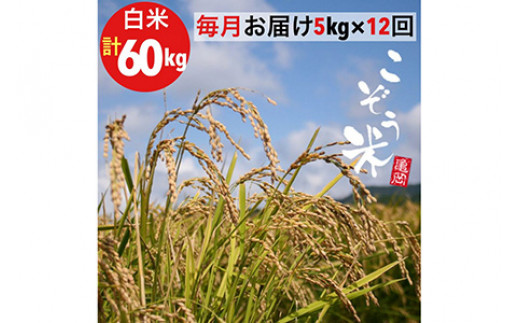 【12回定期便】京都 亀岡産 きぬひかり 「こぞう米」 5kg × 12ヶ月 合計60kg 毎月お届け《米 令和6年産 生活応援 訳あり》 ※北海道・沖縄・離島への配送不可